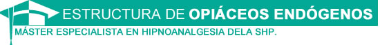 máster especialista hipnoanalgesia
