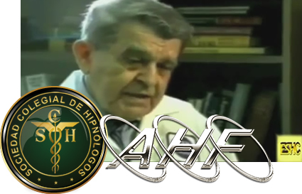 Máster especialista hipnopatologia resumen 3
